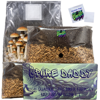 Manure Lovers Mushroom Grow Bag | 4 lbs | Spore Daddy