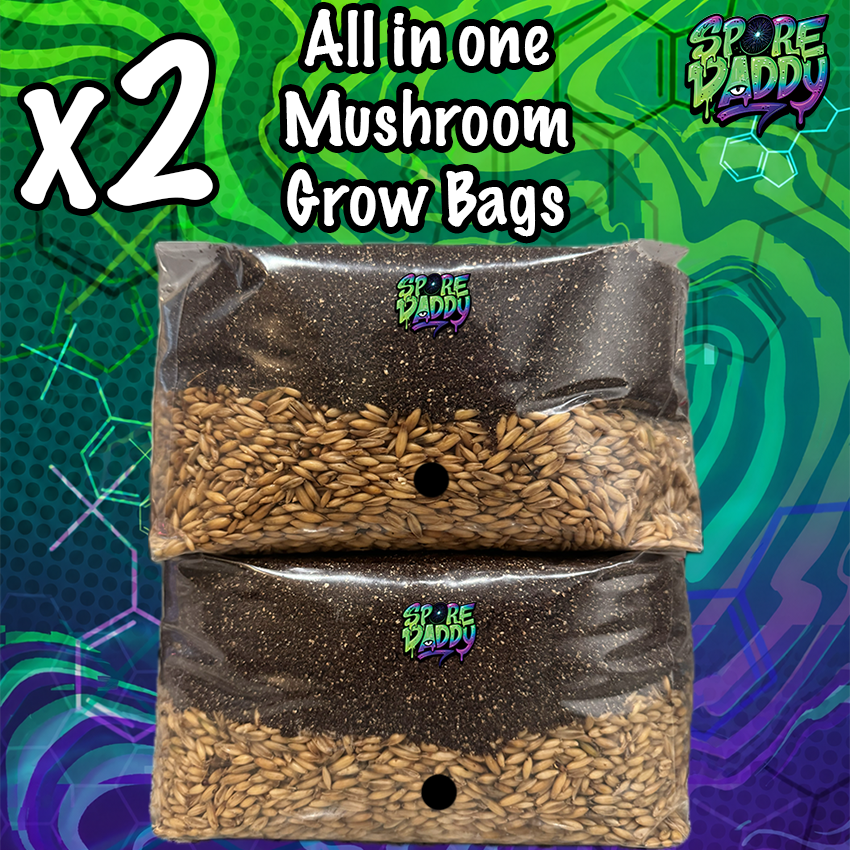Double Pack | All in one Manure Based Mushroom Grow Bags