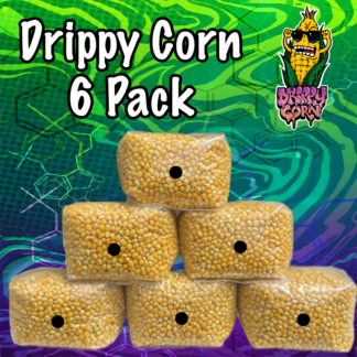 Drippy Corn Grain Spawn | 6 pack | 3 lbs