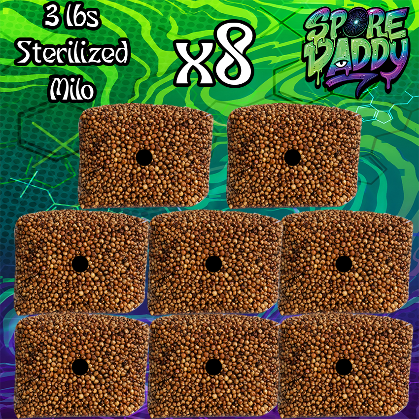 Sterilized Milo Sorghum Grain Spawn | 8 pack | 3 lbs