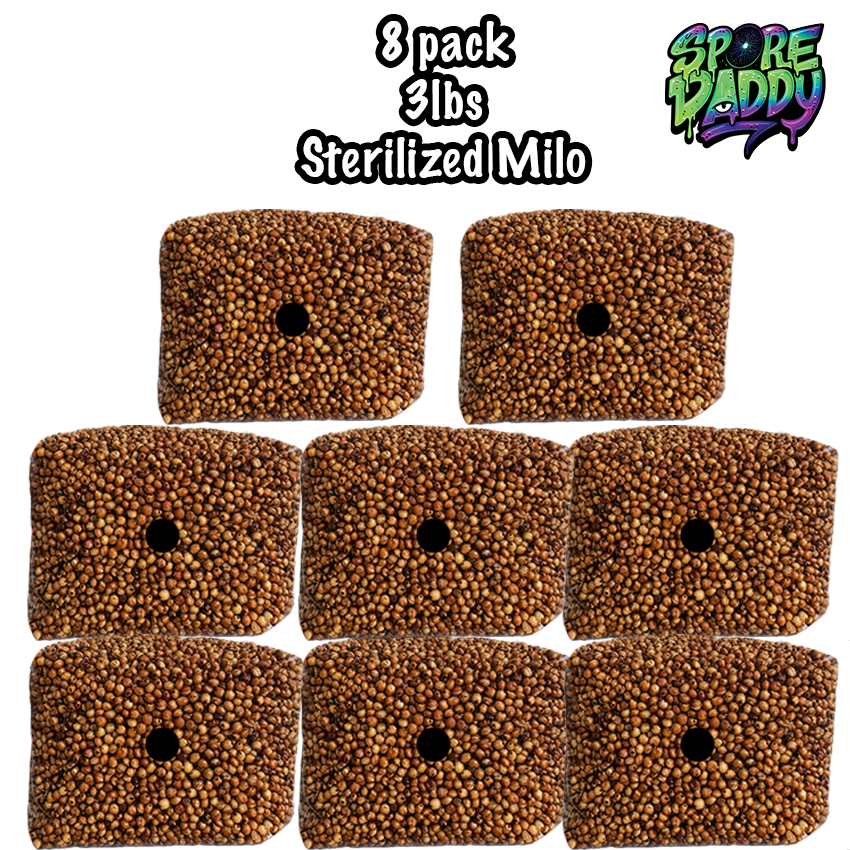 Milo Sorghum Grain Spawn | 8 pack | 3 lbs