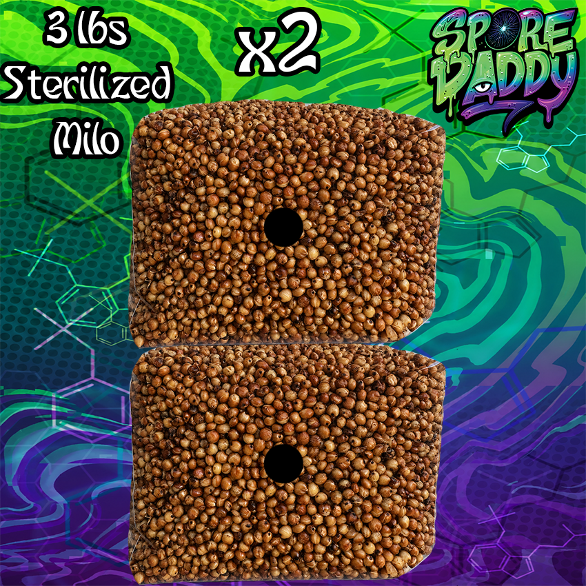 Sterilized Milo Sorghum Grain Spawn | Double Pack | 3 lbs