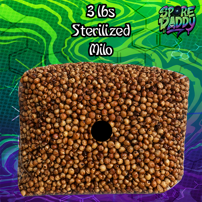 Sterilized Milo Sorghum Grain Spawn | 3 lbs