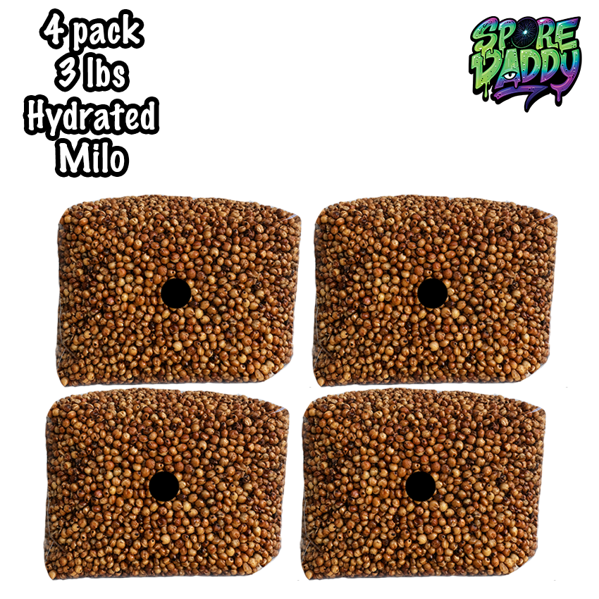 Milo Sorghum Grain Spawn | 4 pack | 3 lbs