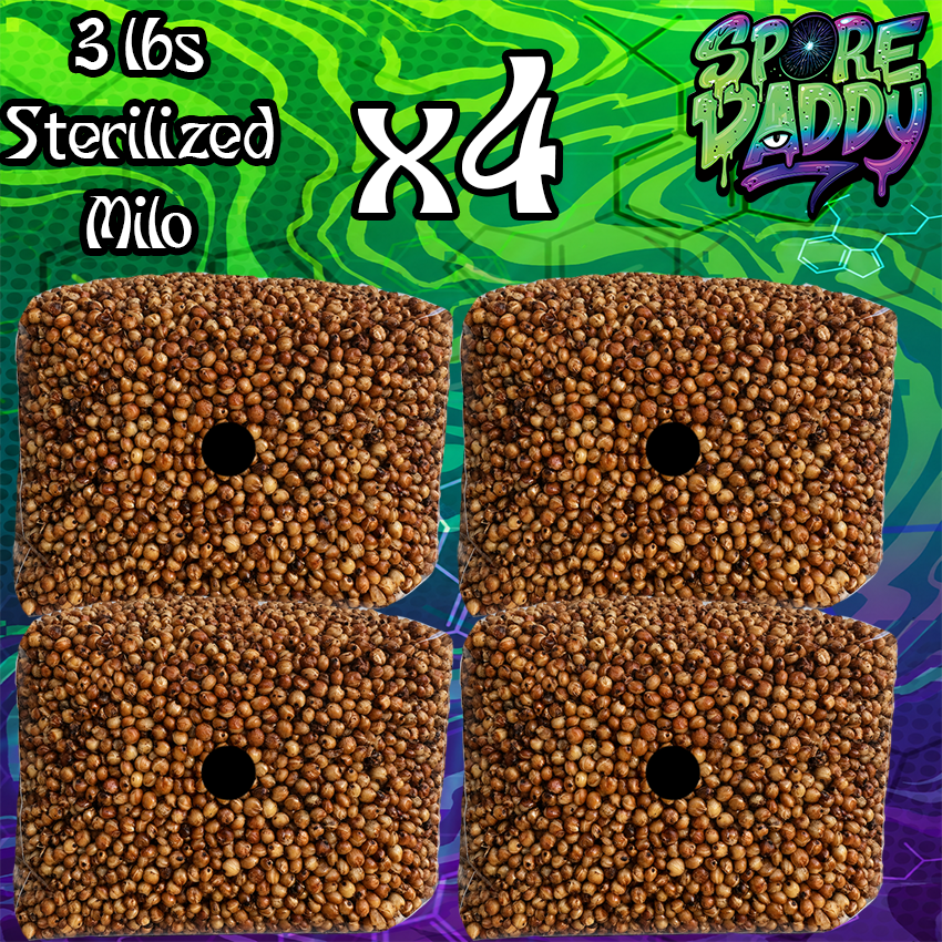 Sterilized Milo Sorghum Grain Spawn | 4 pack | 3 lbs
