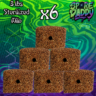 Sterilized Milo Sorghum Grain Spawn | 6 pack | 3 lbs