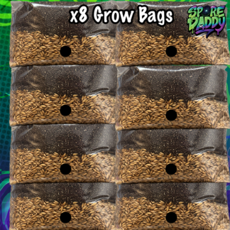Mushroom Grow Bag | 8 Pack | All in one Kit.