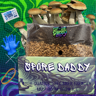 All-in-one Grow Bags