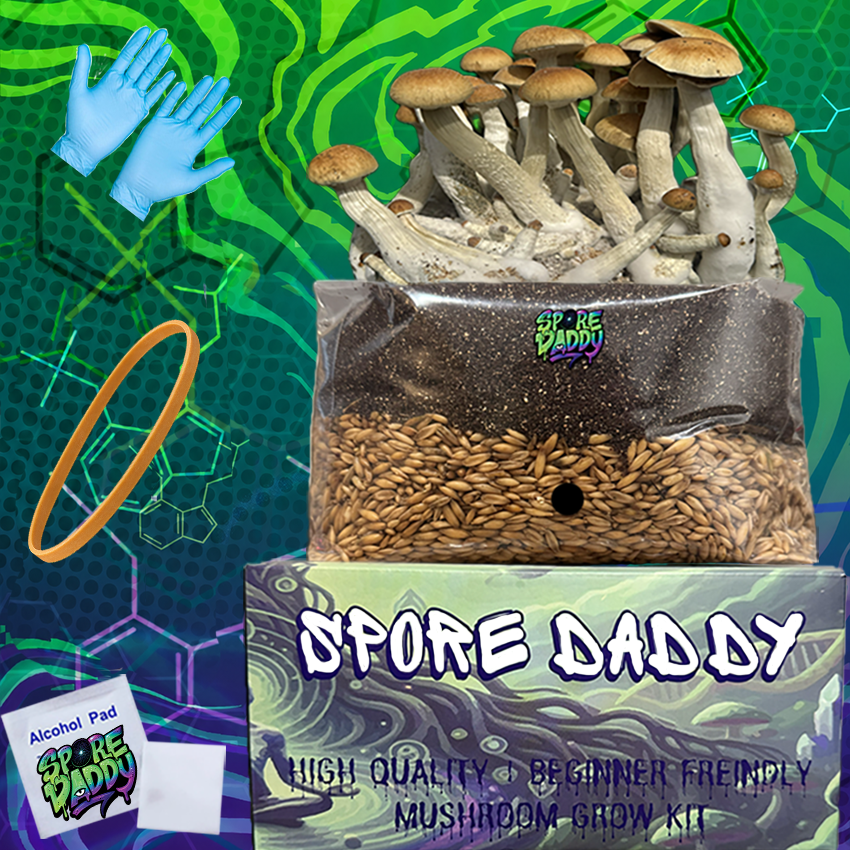 Spore Daddy's Manure Loving Mushroom Grow Kit