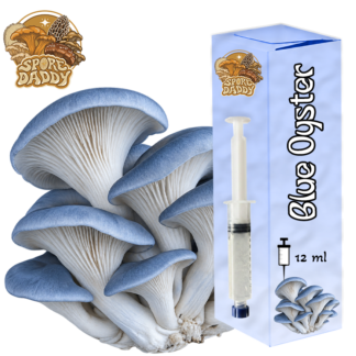 Blue Oyster Mushroom Liquid Culture (12 ML)
