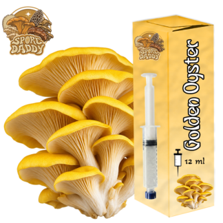 Golden Oyster Mushroom Liquid Culture (12 ML)