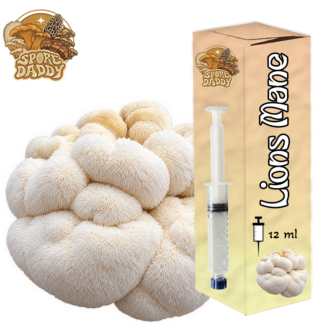 Lions Mane Mushroom Liquid Culture (12 ML)