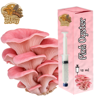 Pink Oyster Mushroom Liquid Culture (12 ML)